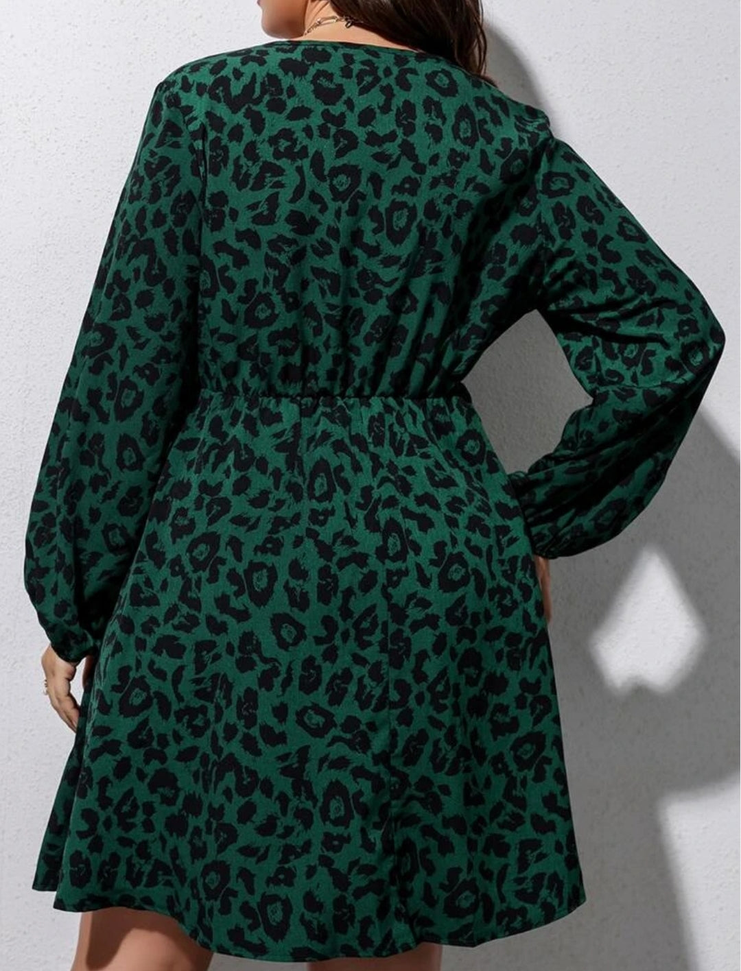Plus Surplice Neck Leopard Print Dress D293