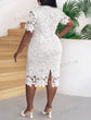 Plus Lace Overlay Bodycon Dress D1884