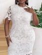 Plus Lace Overlay Bodycon Dress D1884