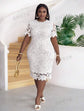 Plus Lace Overlay Bodycon Dress D1884